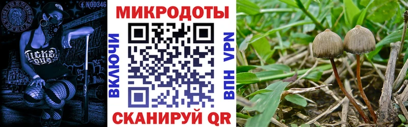 Галлюциногенные грибы мицелий  Купить закладки  Кудымкар 